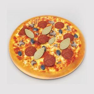 Mushroom Pizza 3d model