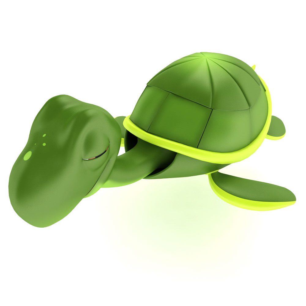 Sea turtle cartoon 3d model