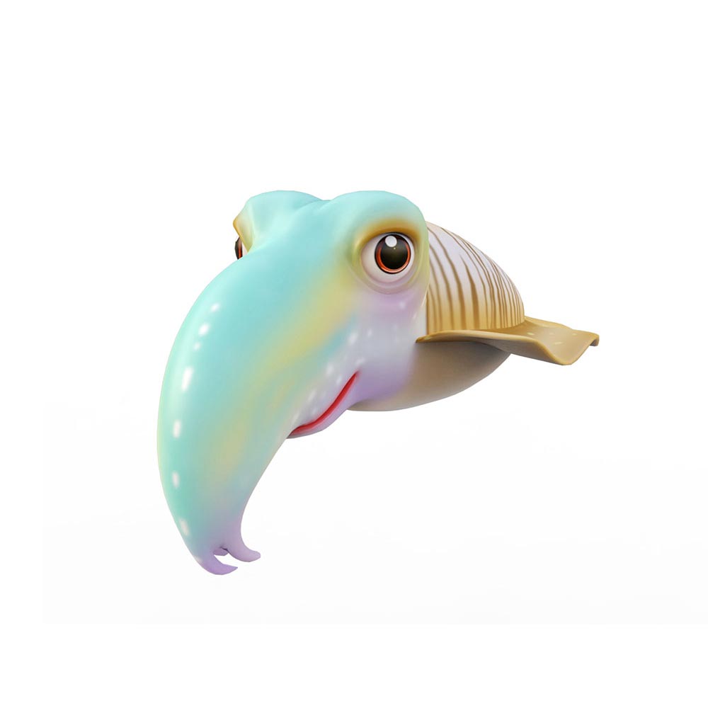 Common Cuttlefish cartoon 3d model