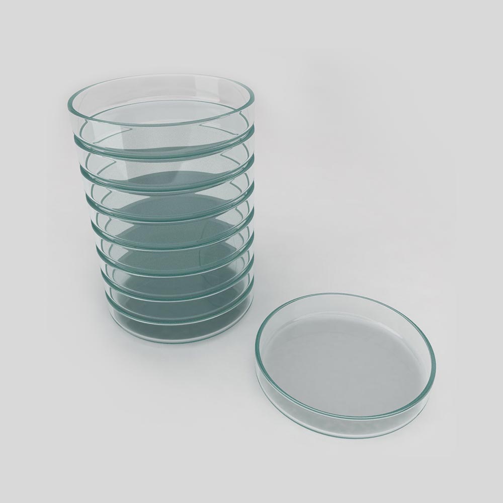 Petri dish 3d model