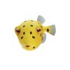 Yellow Box fish cartoon 3d model