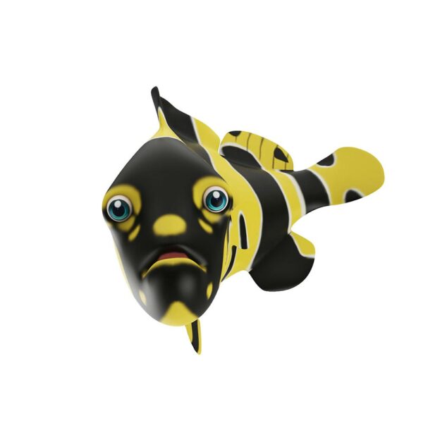 Giant Grouper fish animated 3d model