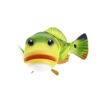 Peacock Bass fish animated 3d model