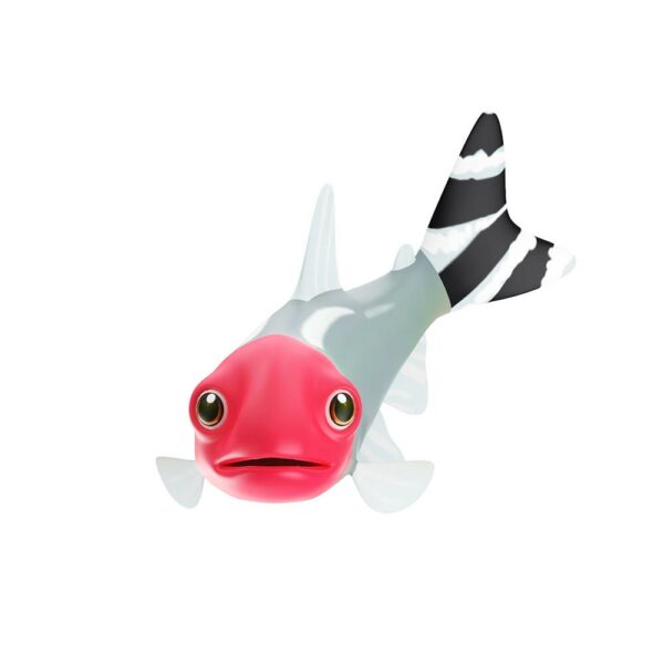Rummy Nose Tetra fish animated lowpoly 3d model