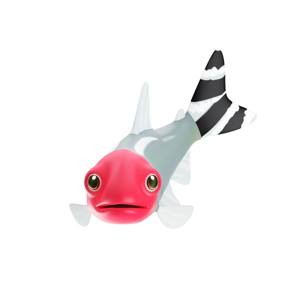 Rummy Nose Tetra fish animated lowpoly 3d model
