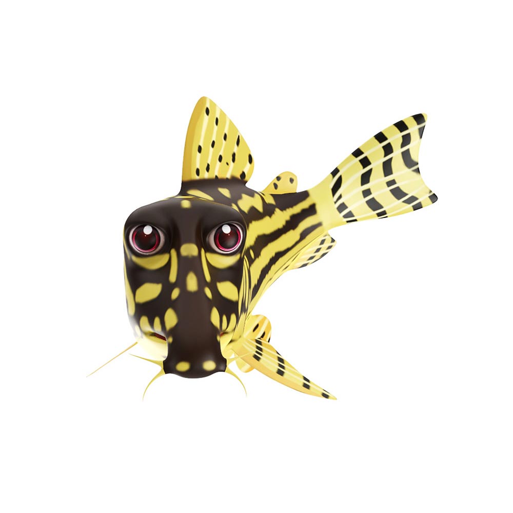 Sterbas Corydoras fish animated lowpoly 3d model