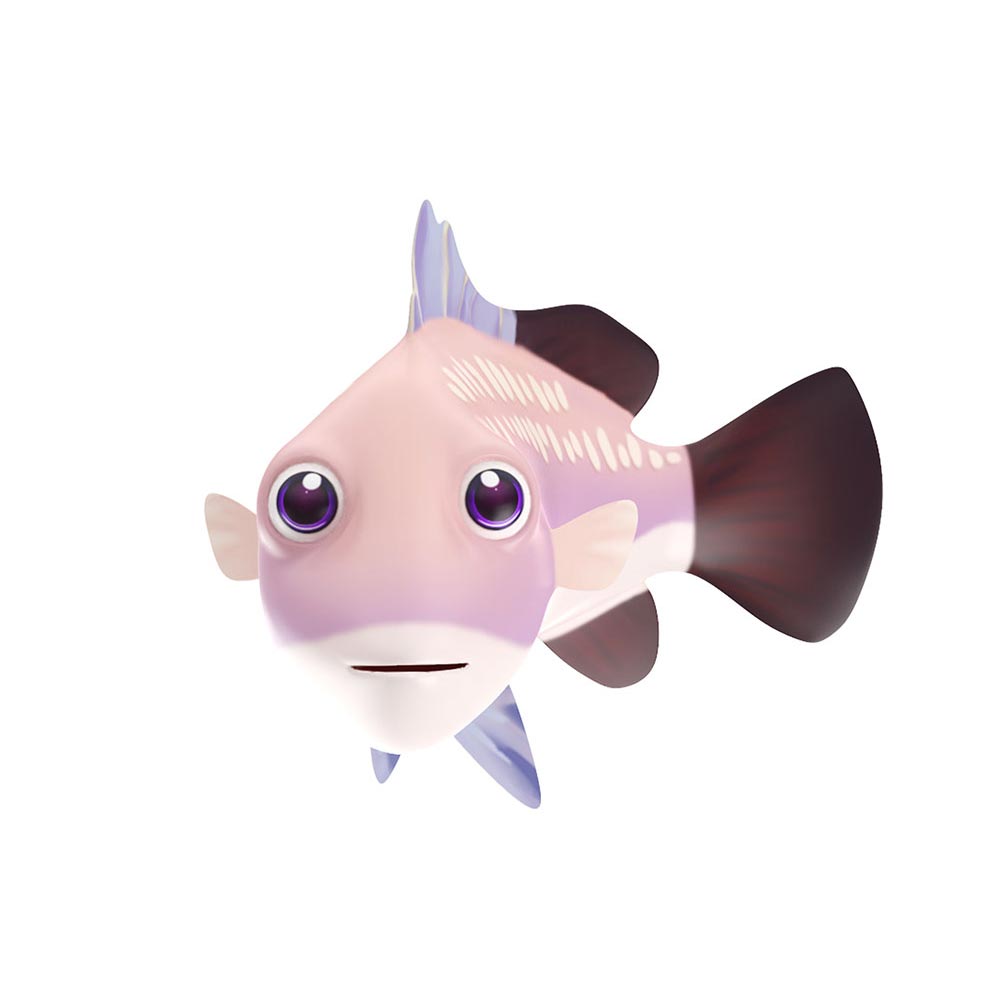 Barramundi fish Lowpoly 3d model
