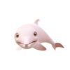 Amazon Pink dolphin fish animated 3d model