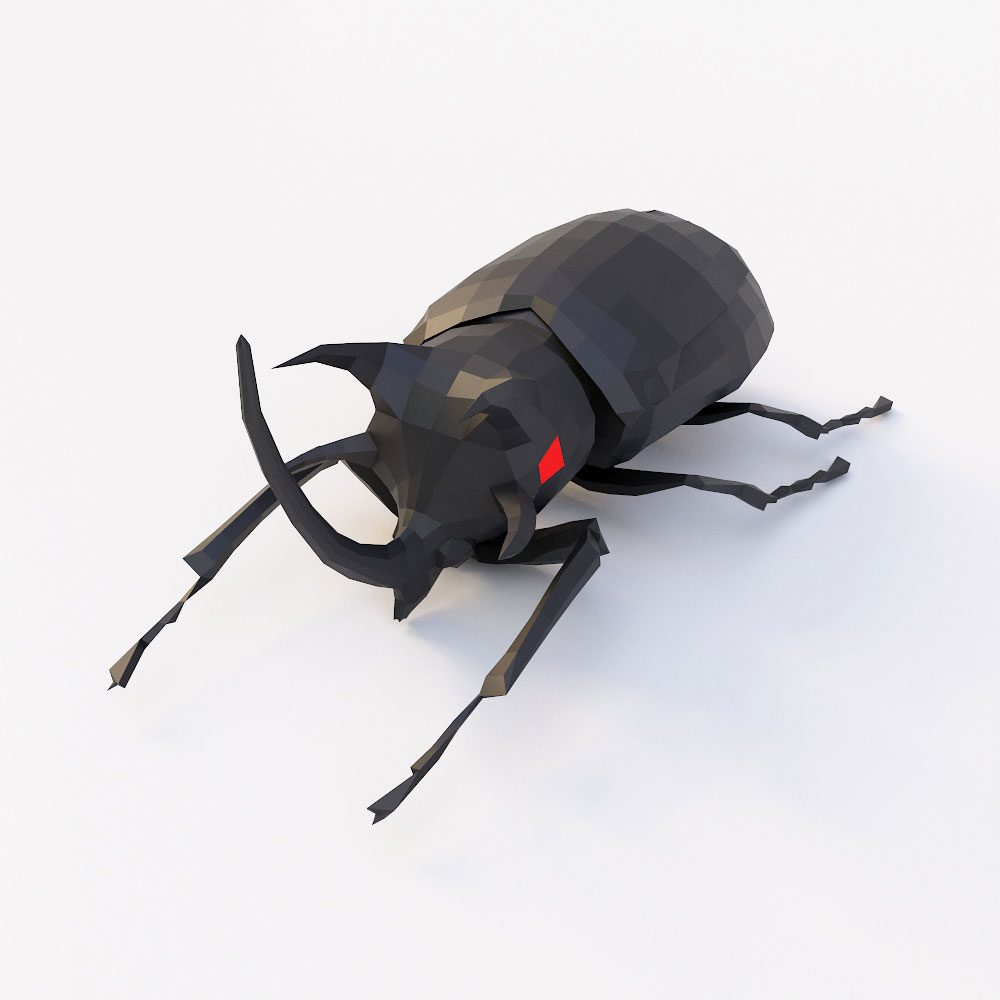 Beetle 3d model