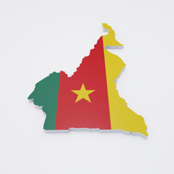 Cameroon country flag map 3d model