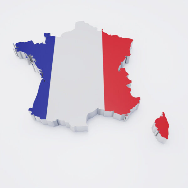 France country flag map 3d model