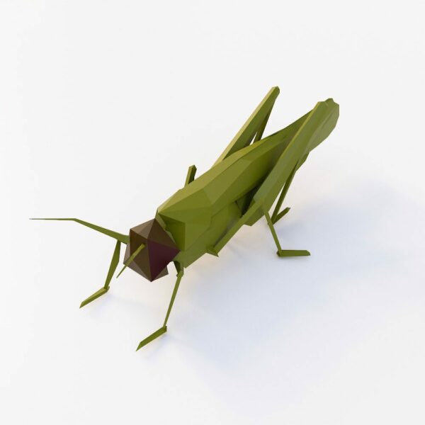 Low poly Grasshopper 3d model