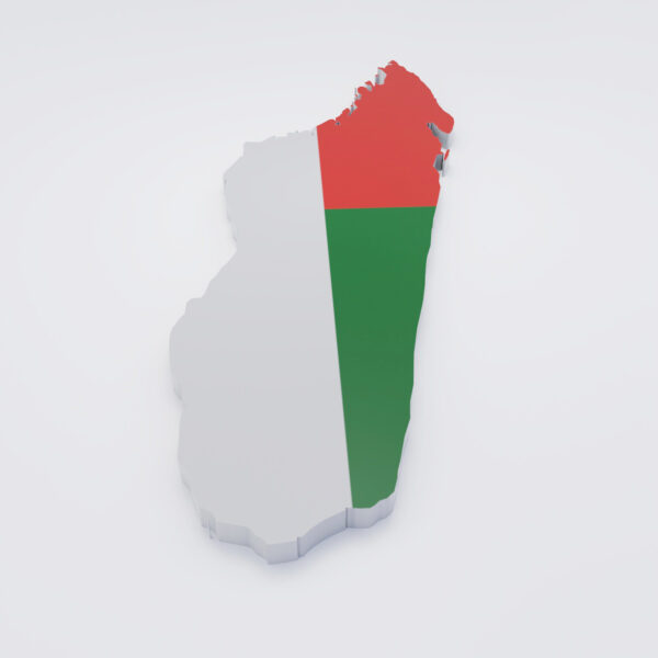 Madagascar country flag map 3d model