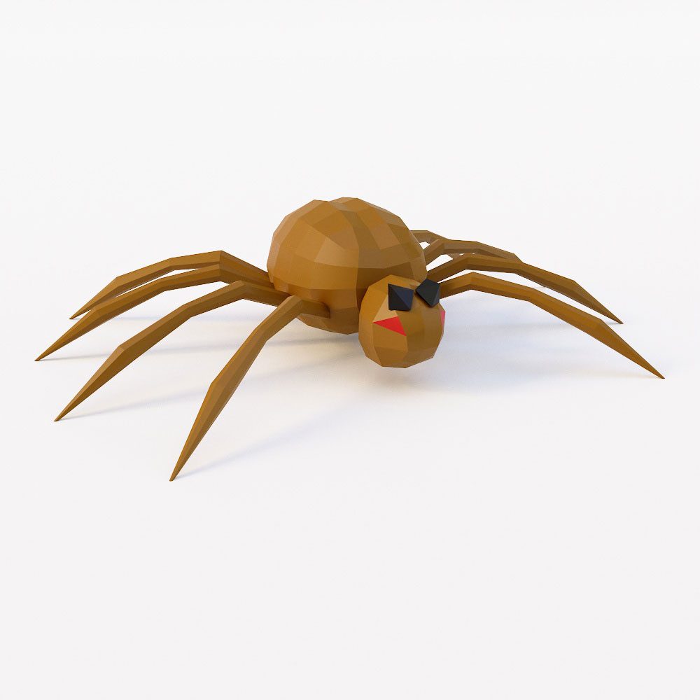 Free Spider 3d model