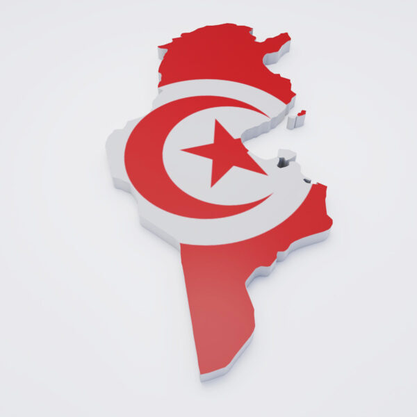 Tunisia flag map 3d model
