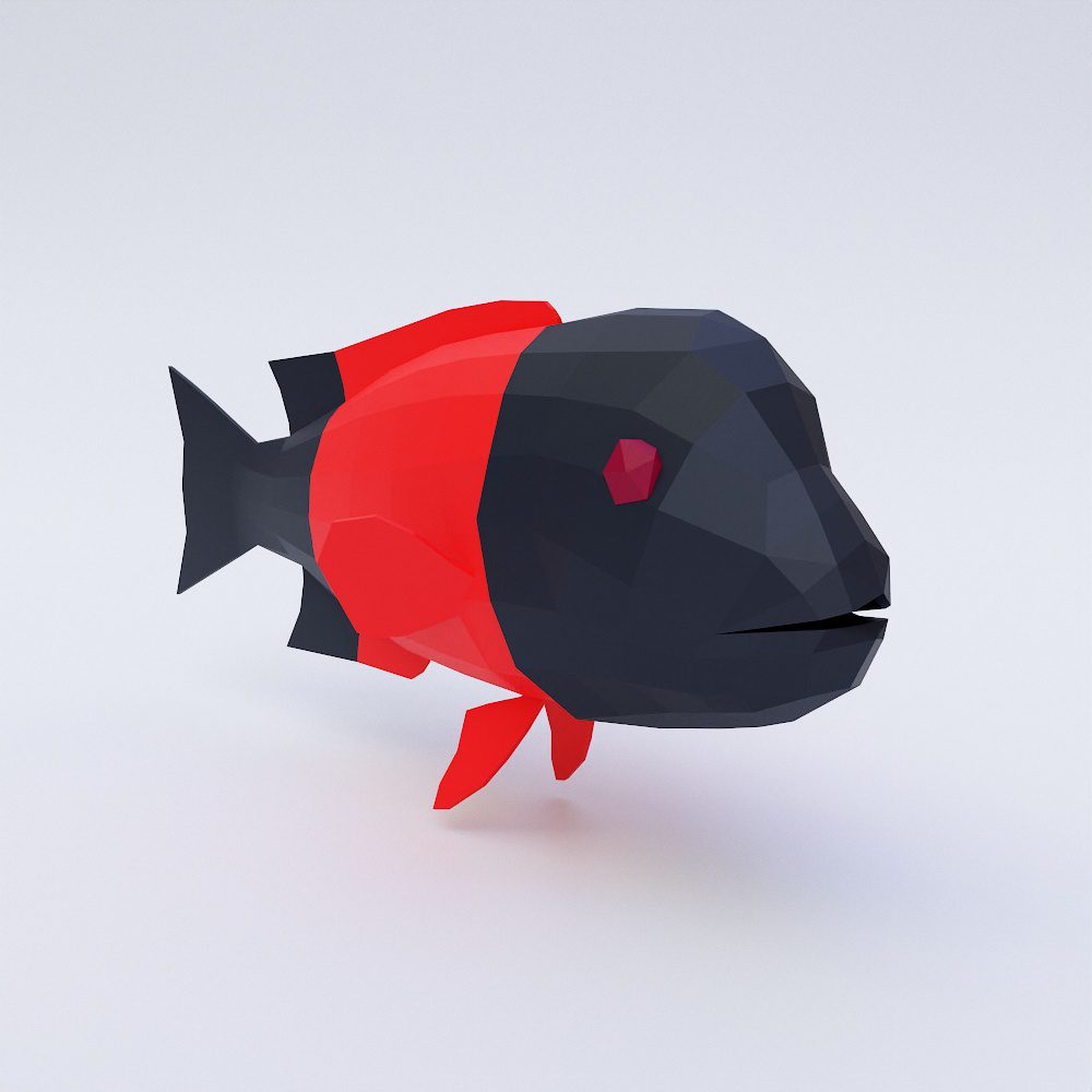 California sheep head fish 3d model