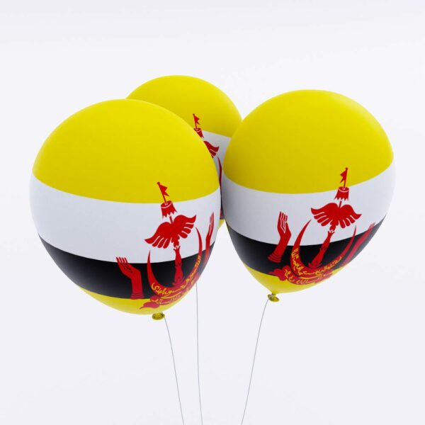 Brunei country flag balloon 3d model