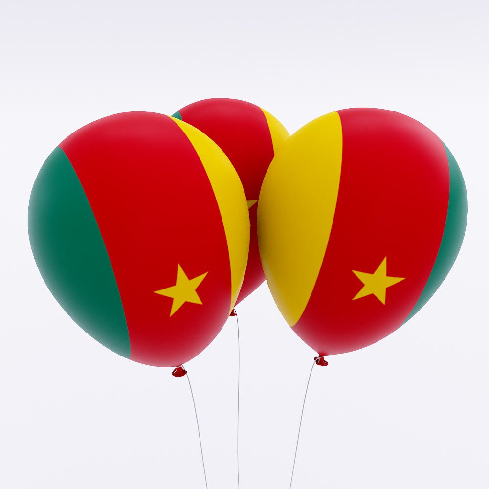 Cameroon country flag balloon 3d model