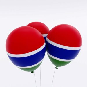 Gambia country flag balloon 3d model