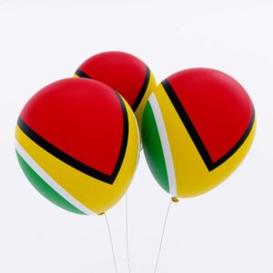 Guyana flag balloon 3d model