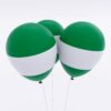 Nigeria country flag balloon 3d model