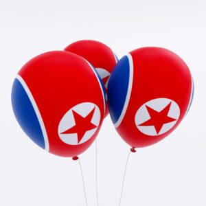 North Korea country flag balloon 3d model