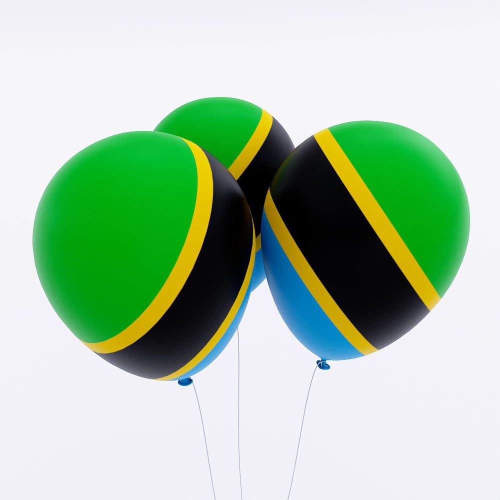 Tanzania flag balloon 3d model