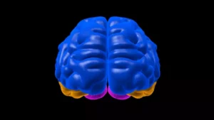 Multicolor brain parts stock video
