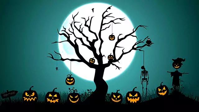 Halloween spooky background animation video