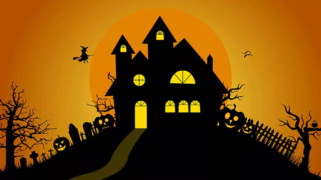 Halloween night stock animation video