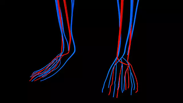 Circulatory System Feet close up stock footage