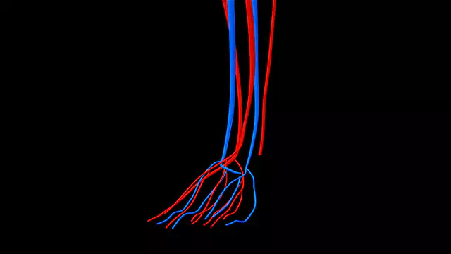 Circulatory System foot close up stock footage