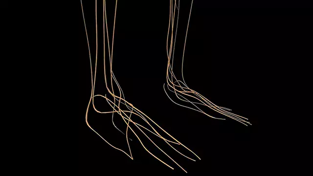 Human nervous system feet close up stock video