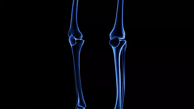 Human skeletal system knees close up stock video