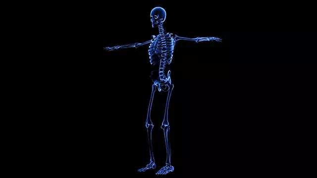 Human skeletal system x-ray stock video