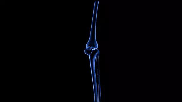 Human skeletal system knee close up stock video