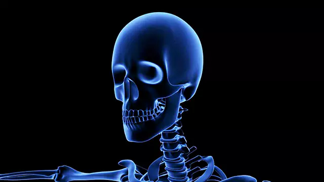 Human skeletal system skull close up stock video