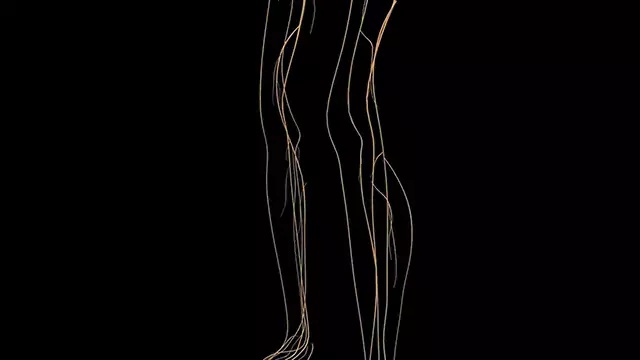 Nervous system knees close up stock video