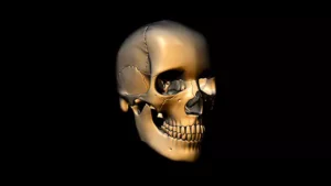 Human skull turn around stock video