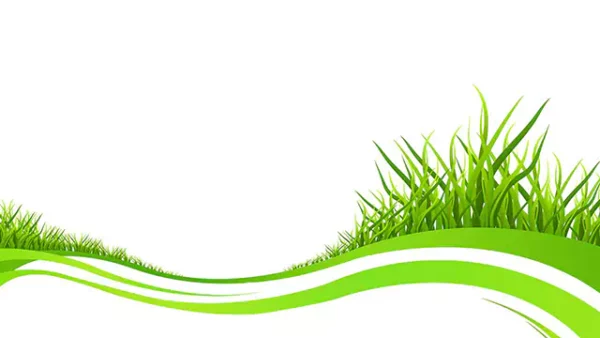 Animated grass growing stock video