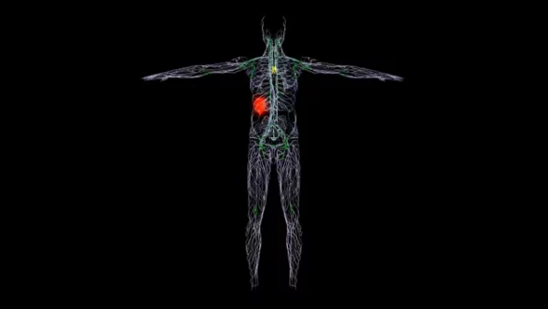 Lymphatic system stock video footage