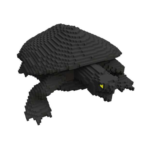 Turtle voxel 3d model