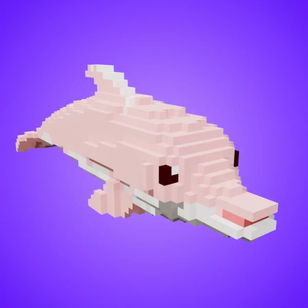 Dolphin voxel fish 3d model