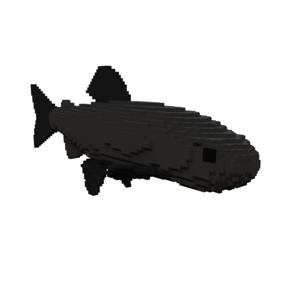 Amemasu fish voxel 3d model