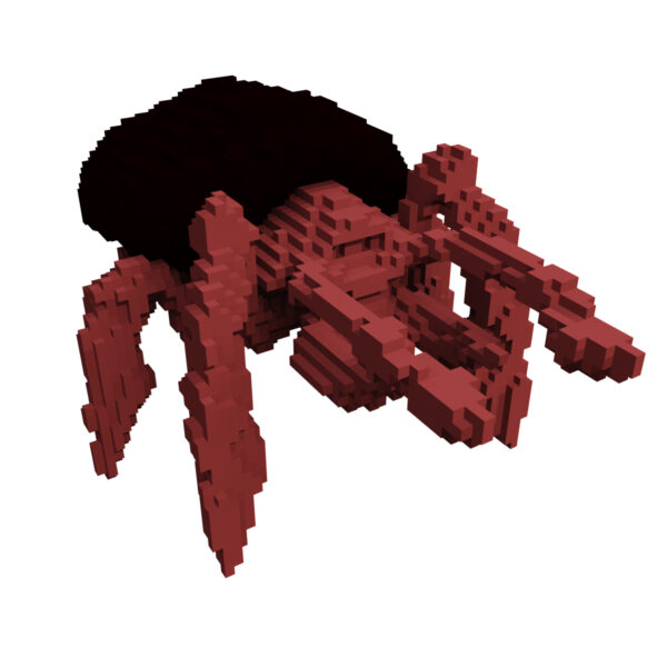 Voxel Beetle 3d model