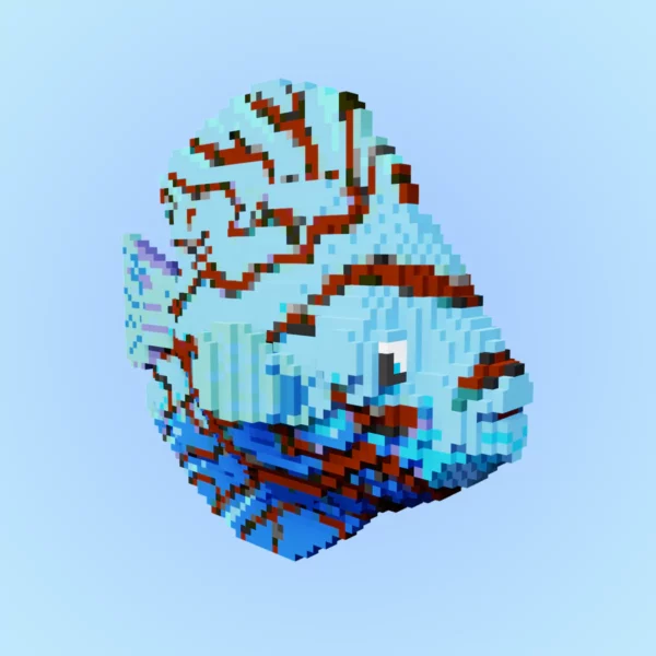 Blue discus voxel fish