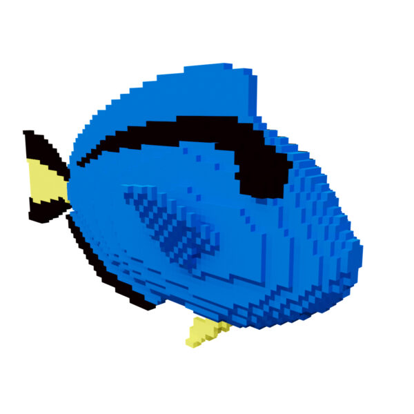 Blue tang Voxel fish