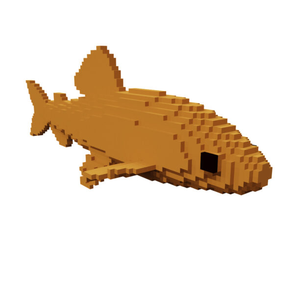 Brown trout voxel fish