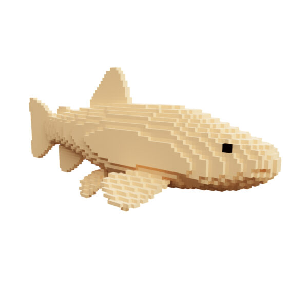 Brown trout fish voxel 3d model