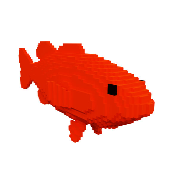 Carp fish voxel 3d model